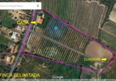 Xalet independent amb terreny en venda a la España, Cartaya, ref.: TR134449 foto