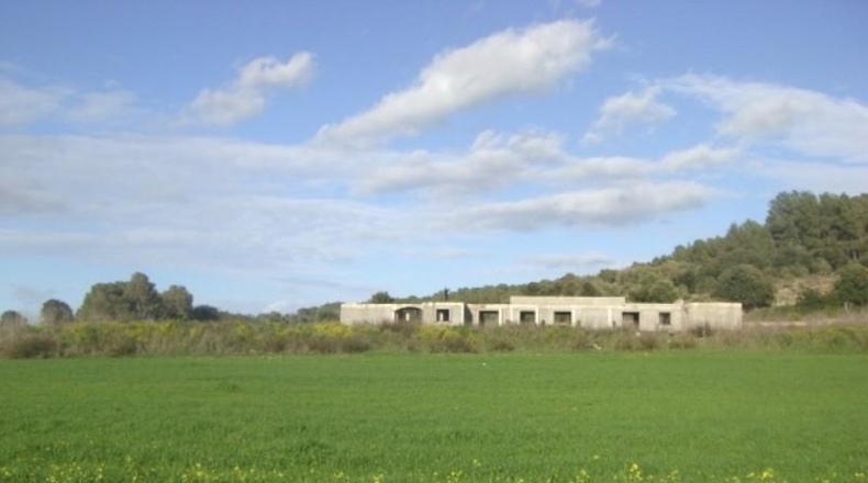 Islas Baleares - Algaida - 52985m2