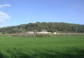 Chalet independiente con terreno en venta en la España, Montuïri, ref: TR141875 foto