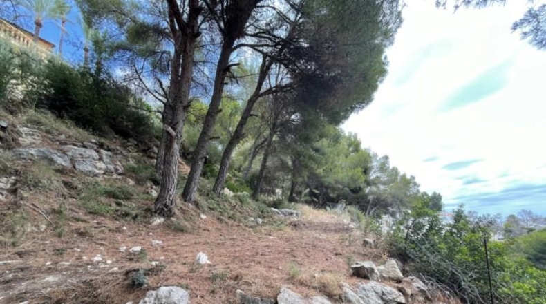 Alicante - Moraira - 1598m2