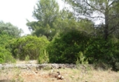 Suelo urbano en venta en la España, Dénia, ref: TR259798 foto
