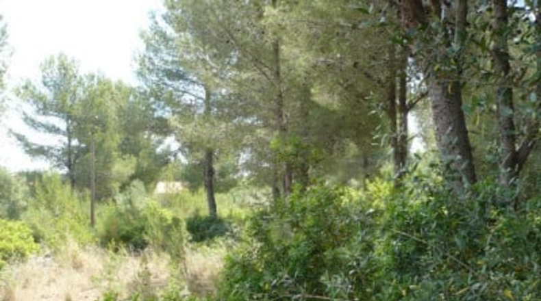 Alicante - Denia - 2252m2