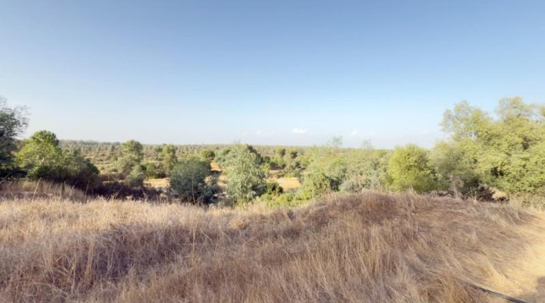 Huelva - Almonte - 470000m2