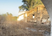 Chalet independiente con terreno en venta en la España, Almonte, ref: TR348213 foto
