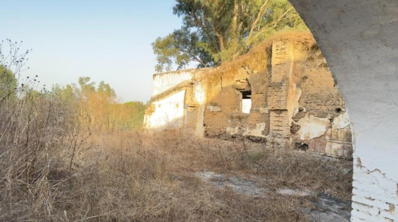 Huelva - Almonte - 470000m2