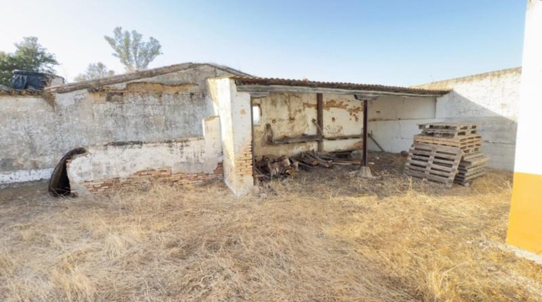 Huelva - Almonte - 470000m2