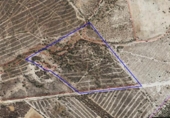 Chalet independiente con terreno en venta en la España, Almonte, ref: TR348213 foto