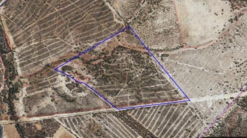 Huelva - Almonte - 470000m2