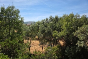 Foto 16