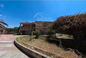 Escalona 477&nbsp;m²