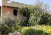 Masía con terreno en venta en La Romana ref: TR416196 foto