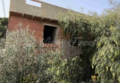 Masía con terreno en venta en La Romana ref: TR416196 foto