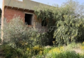 Masía con terreno en venta en La Romana ref: TR416196 foto