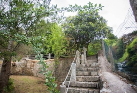 Tuy 1500&nbsp;m²