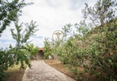 Masía con terreno en venta en la Av Portugal, Tuy, ref: TR416197 foto