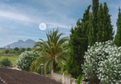 Chalet adosado con terreno en venta en Pedreguer ref: TR416208 foto
