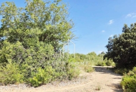 Cervera del Maestrat 5&nbsp;m² 
