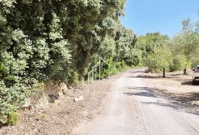 Cervera del Maestrat 5&nbsp;m² 