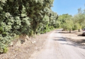 Terreny no urbanitzable en venda a la España, Cervera del Maestrat, ref.: TR416216 foto