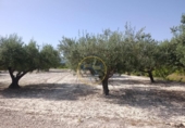 Terreno no urbanizable en venta en la España, Ontinyent, ref: TR416217 foto