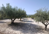 Terreno no urbanizable en venta en la España, Ontinyent, ref: TR416217 foto