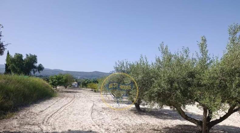 Valencia - Ontinyent - 2286m2