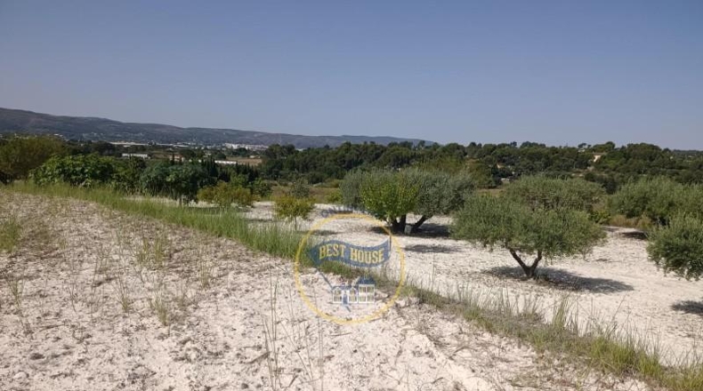 Valencia - Ontinyent - 2286m2