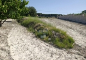 Terreno no urbanizable en venta en la España, Ontinyent, ref: TR416217 foto