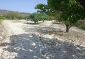 Terreno no urbanizable en venta en la España, Ontinyent, ref: TR416217 foto