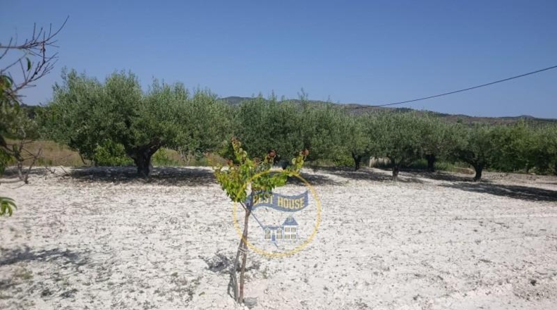 Valencia - Ontinyent - 2286m2