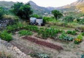 Detached villa with land for sale on España, Horta de Sant Joan, ref: TR334387 photo