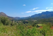 Detached villa with land for sale on España, Horta de Sant Joan, ref: TR334387 photo
