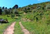 Detached villa with land for sale on España, Horta de Sant Joan, ref: TR334387 photo
