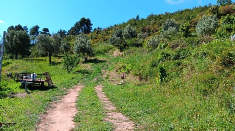 Tarragona - Horta de Sant Joan - 6742m2
