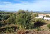 Casa con terreno en venta en la España, Nívar, ref: TR399295 foto