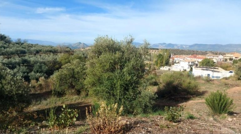 Granada - Nívar - 450m2