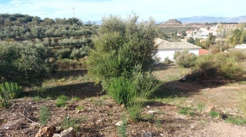 Granada - Nívar - 450m2