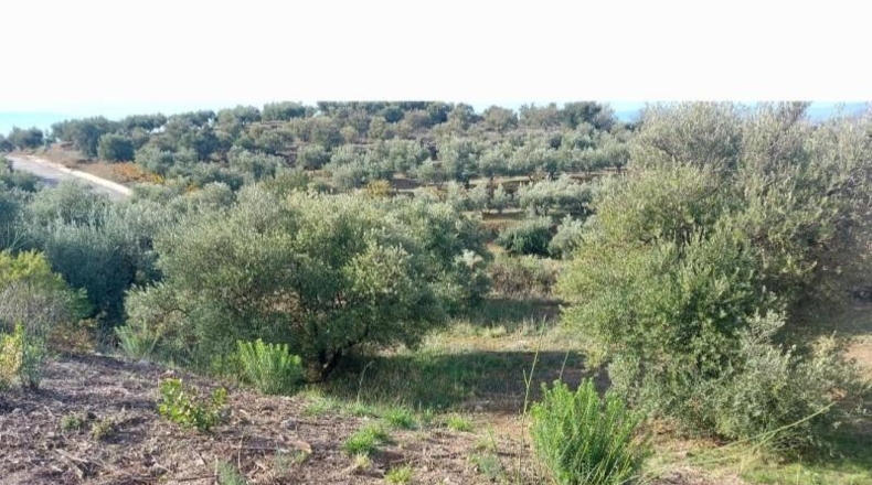Granada - Nívar - 450m2