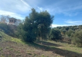 Casa con terreno en venta en la España, Nívar, ref: TR399295 foto