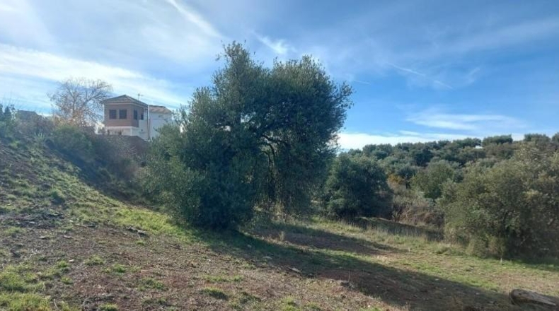 Granada - Nívar - 450m2