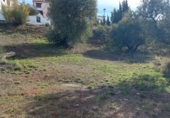Casa con terreno en venta en la España, Nívar, ref: TR399295 foto