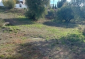 Casa con terreno en venta en la España, Nívar, ref: TR399295 foto