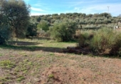 Casa con terreno en venta en la España, Nívar, ref: TR399295 foto