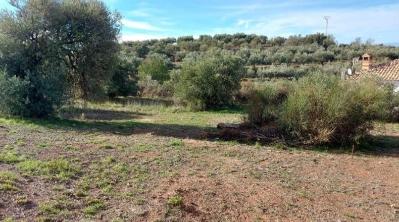 Granada - Nívar - 450m2