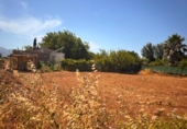 Terreno no urbanizable en venta en la España, Platja de Muro, ref: TR416224 foto