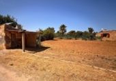 Terreno no urbanizable en venta en la España, Platja de Muro, ref: TR416224 foto