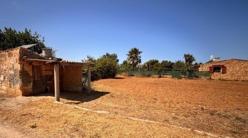Islas Baleares - Platja de Muro - 664m2
