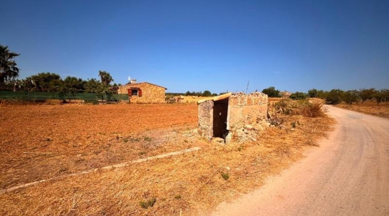Islas Baleares - Platja de Muro - 664m2
