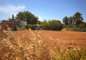 Terreno no urbanizable en venta en la España, Platja de Muro, ref: TR416224 foto