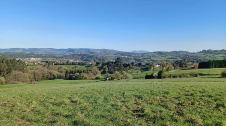 Asturias - Gijón - 5424m2